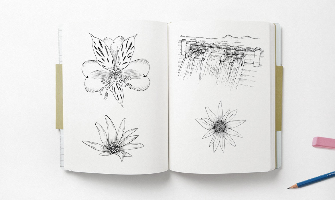 flowers and dam illustration sketchpad mockup