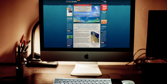great barrier reef blog website